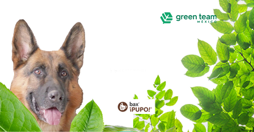 bax® PUPO: The First and Only 100% Biodegradable Pet Bag